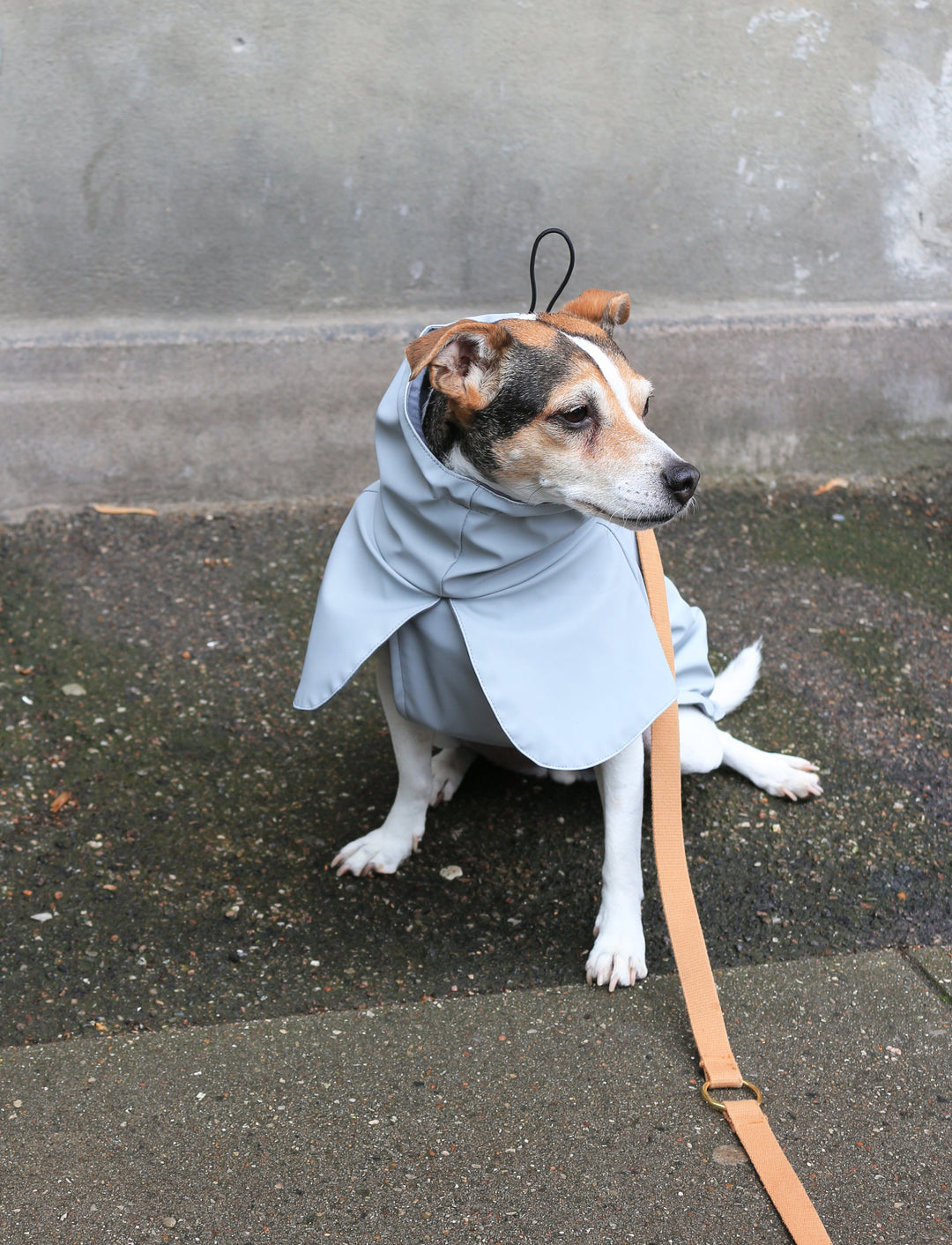 Raincoat Light grey