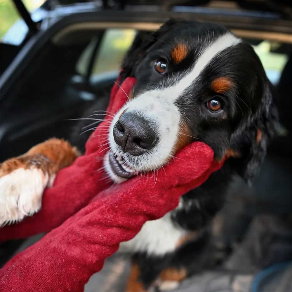 Ruff and Tumble Dog Drying Mitts – Fast-Drying Paw and Leg Mitts in Five Colours