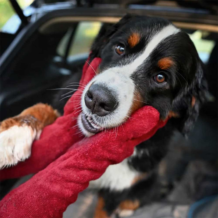 Ruff and Tumble Dog Drying Mitts – Fast-Drying Paw and Leg Mitts in Five Colours