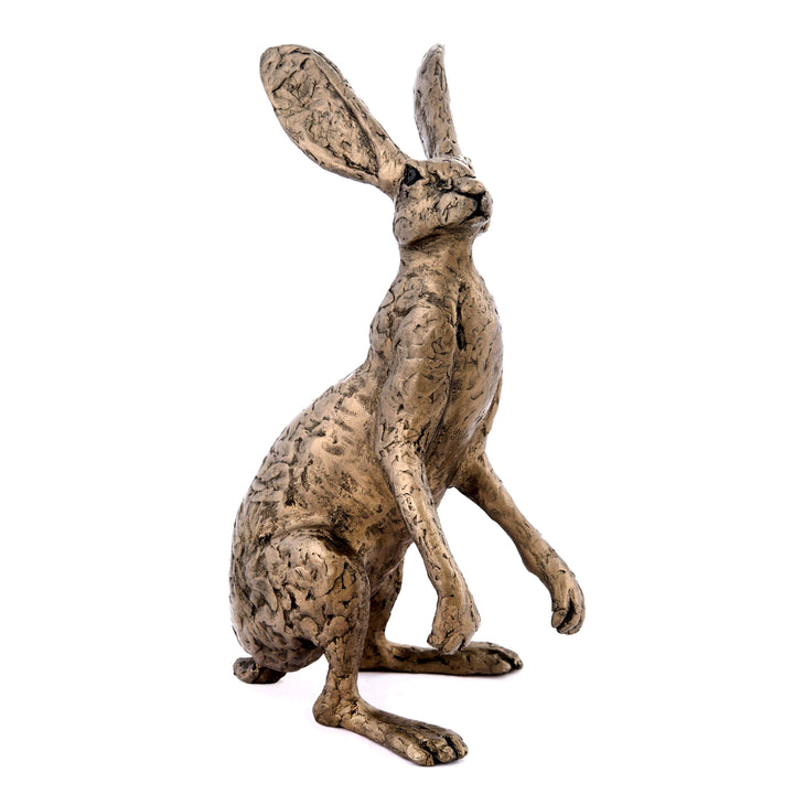 Thomas the Dorset Hare cold-cast bronze sculpture by Thomas Meadows on a white background