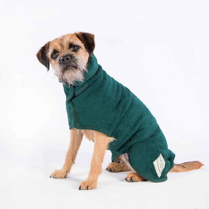 Classic Dog Drying Coat in Green by Ruff and Tumble