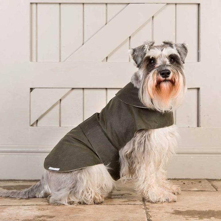 Mutts & Hounds Wax Waterproof Dog Coat - Olive Green