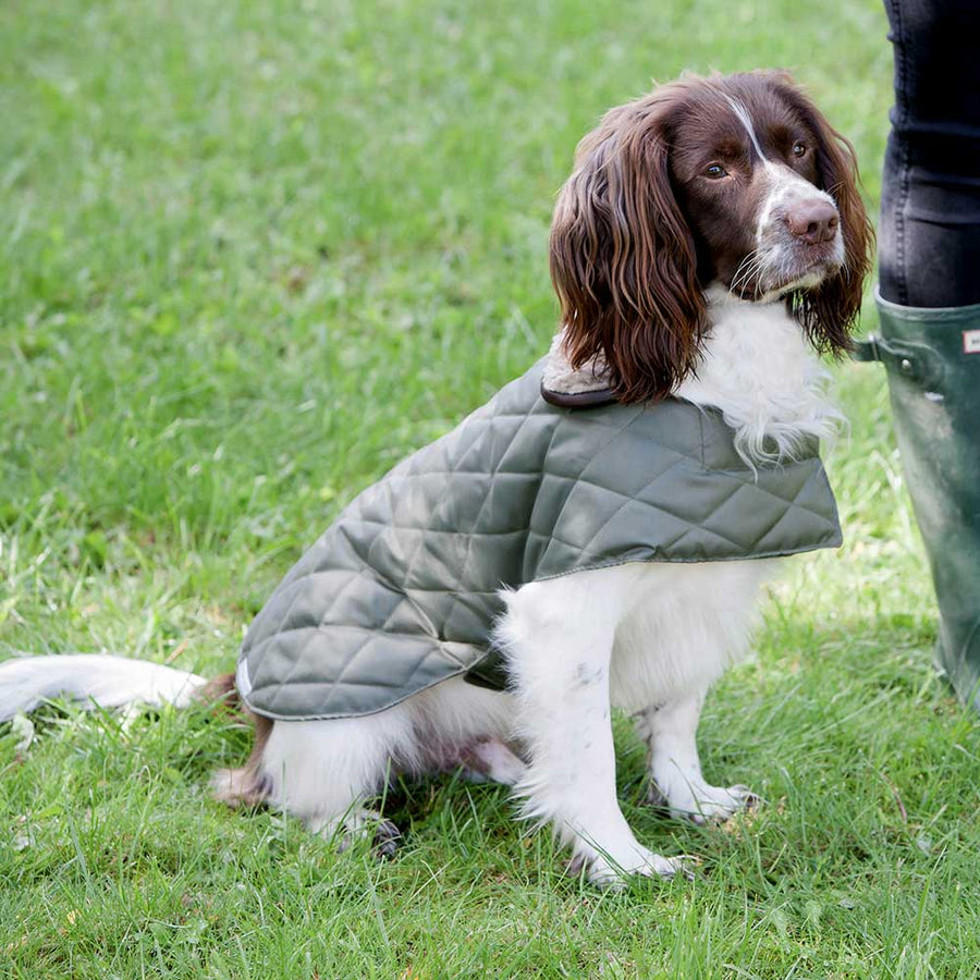 Mutts & Hounds Quilted Dog Coat - Olive Green