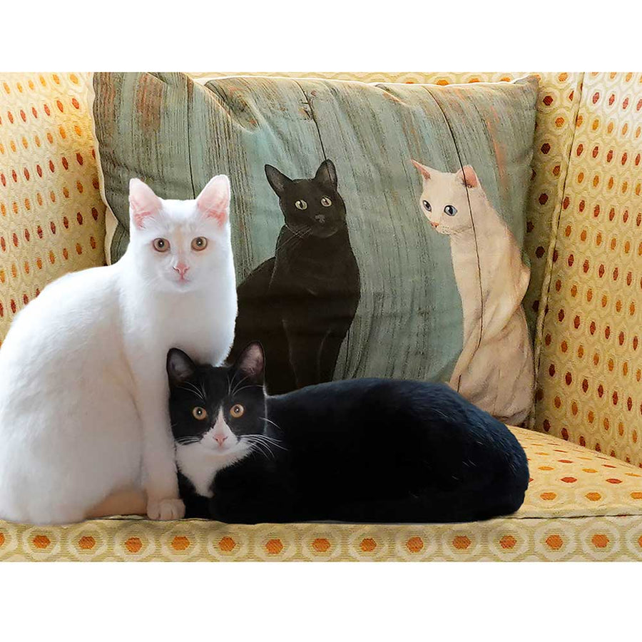 ARTWORLD CUSHIONS 'Le Chat Noir et Le Chat Blanc' Black and White Cat Print Cushion