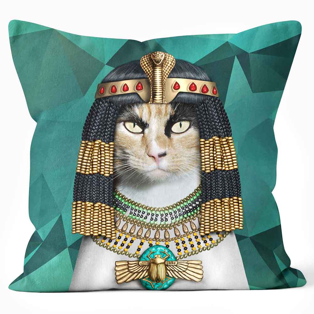 CUSHIONS ARE US 'Cleo' Pet Cat Pets Photo Print Cushion - Large | Medium