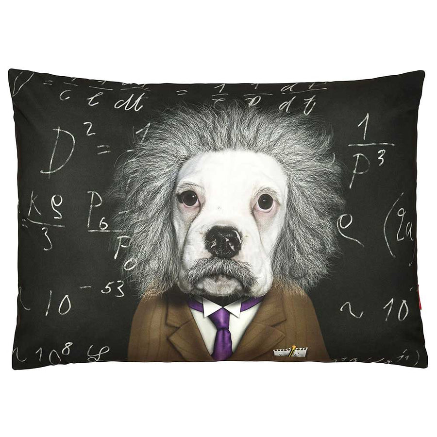 Cushions Are Us Brain Luxury Dog bed