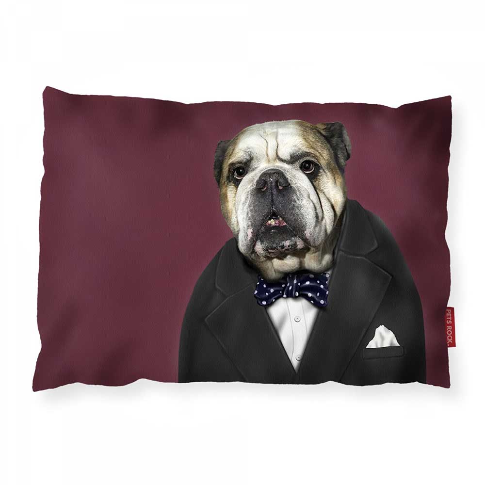 Cushions Are Us Leader luxury dog bed Pets Rock