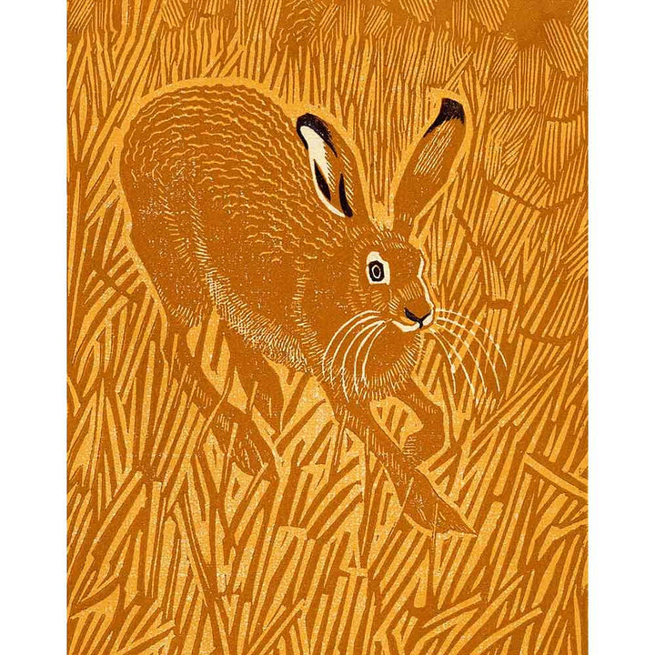 ARTWORLD STOOLS Poppy Hare by Robert Gillmor - Hardwood Folding Stool pattern detail
