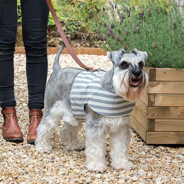 Dog and Puppy Harness in Grey Stripe Cotton by Mutts and Hounds