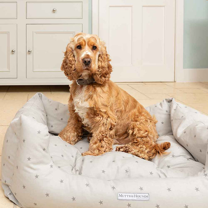 Boxy Dog Bed Grey Stars Design by Mutts & Hounds