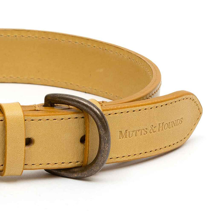 Leather Dog Collar Mustard Yellow Italian Leather by Mutts & Hounds
