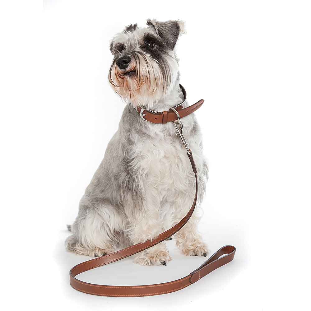 Dog Lead in Brown Tan Leather by Mutts & Hounds