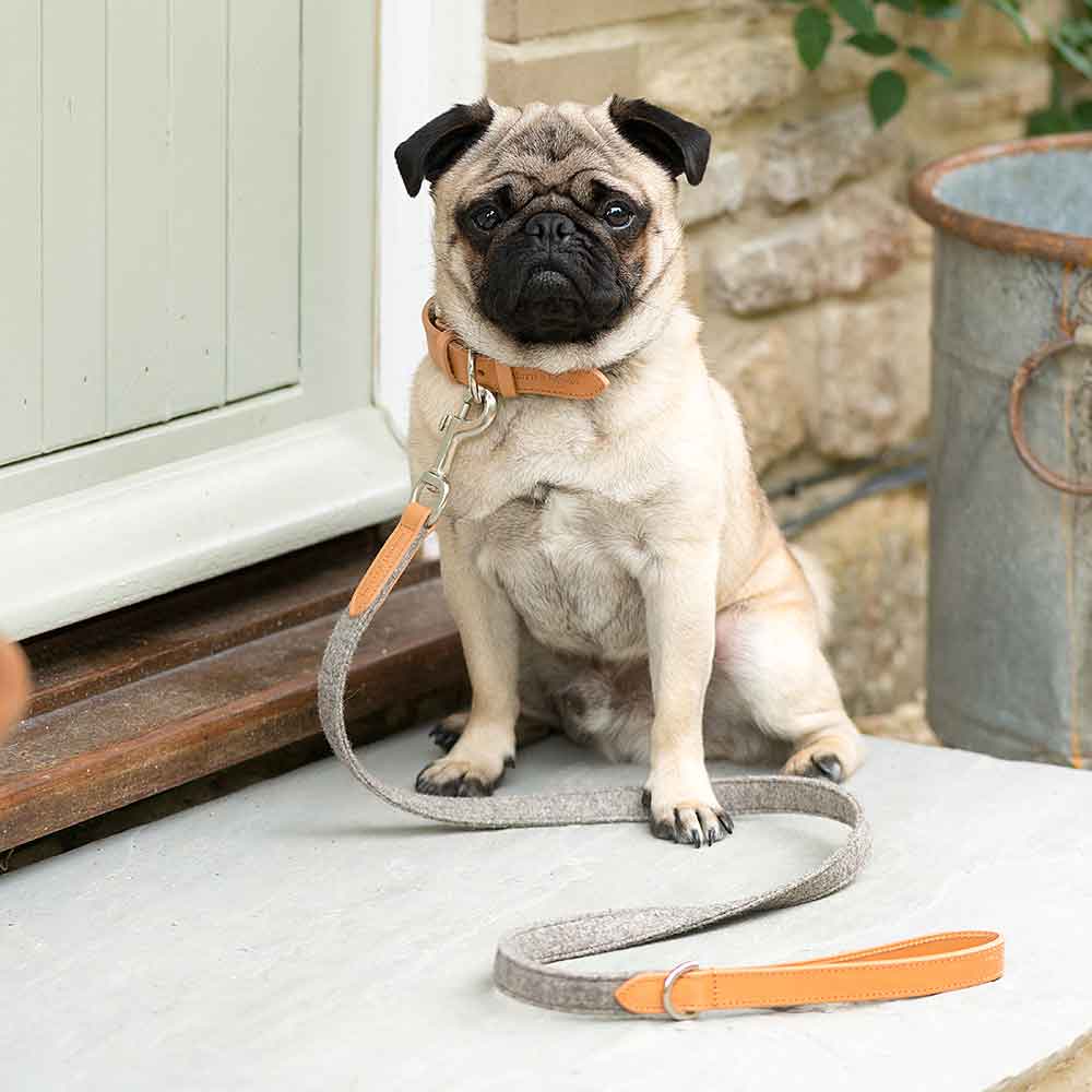 Dog Lead In Camello Tan Leather and Grey Tweed by Mutts & Hounds