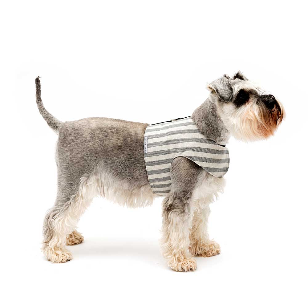 Dog and Puppy Harness in Grey Stripe Cotton by Mutts and Hounds