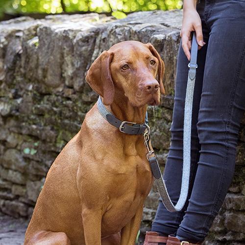 Dog Lead In Stoneham Grey Tweed and Leather by Mutts & Hounds