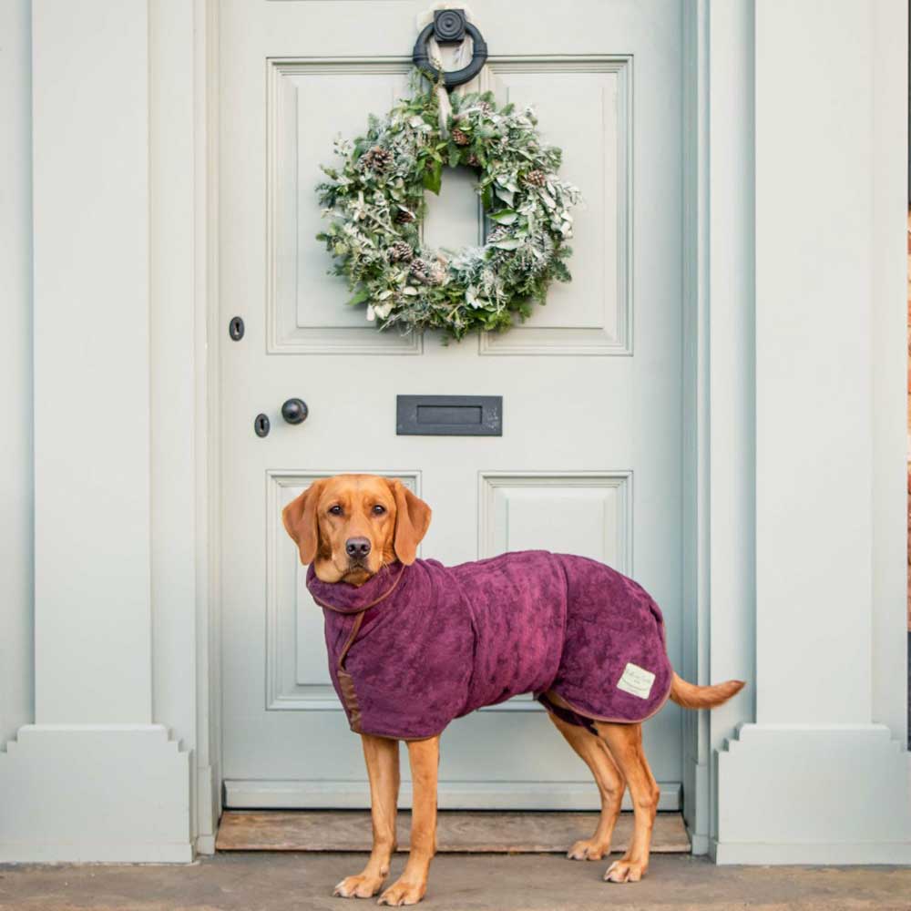 Ruff and tumble outlet dog towels