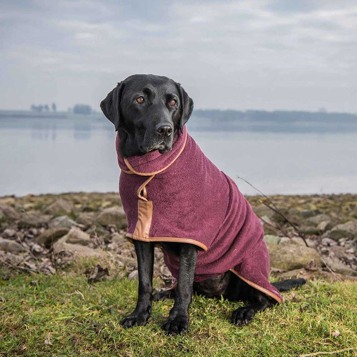Country Dog Drying Coat in Burgundy Red by Ruff and Tumble