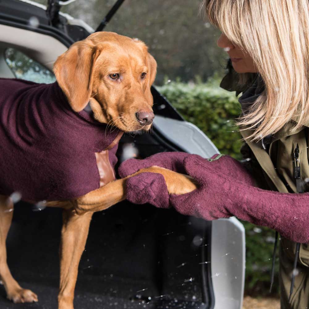 Rough and tumble top dog towels