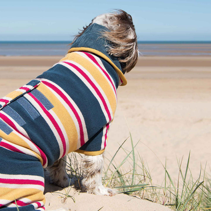 Design Beach Multi Stripe Dog Drying Coat by Ruff and Tumble