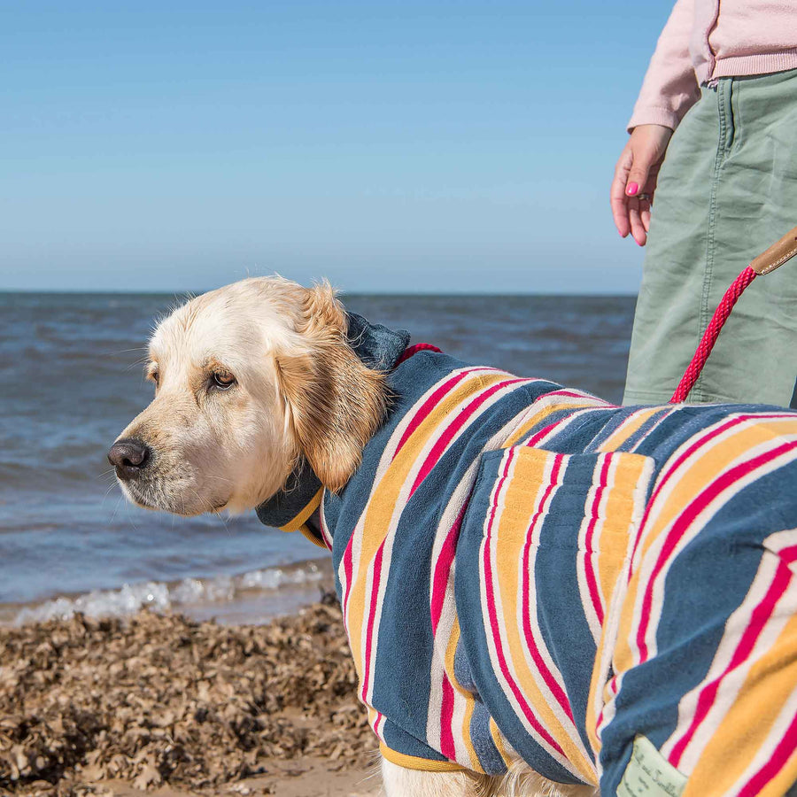 Design Beach Multi Stripe Dog Drying Coat by Ruff and Tumble