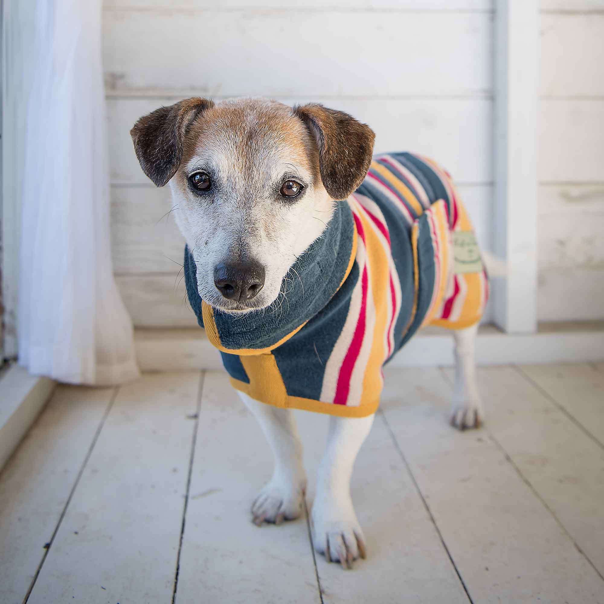 Rough and hotsell tumble dog coat