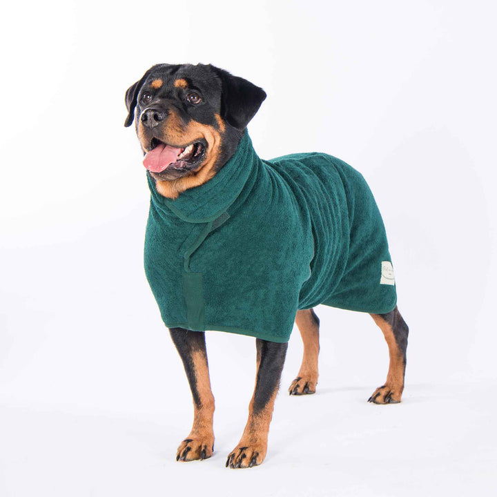 Classic Dog Drying Coat in Green by Ruff and Tumble